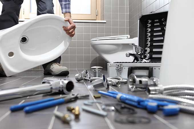 Toilet Repair