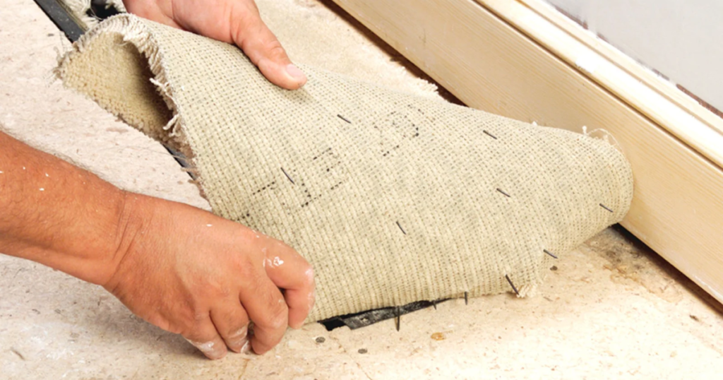 where to hire a carpet cleaner