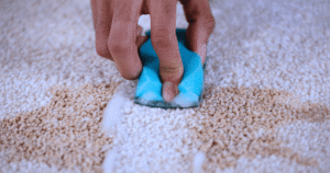 cleaning supplies beside a stained carpet before stain removal